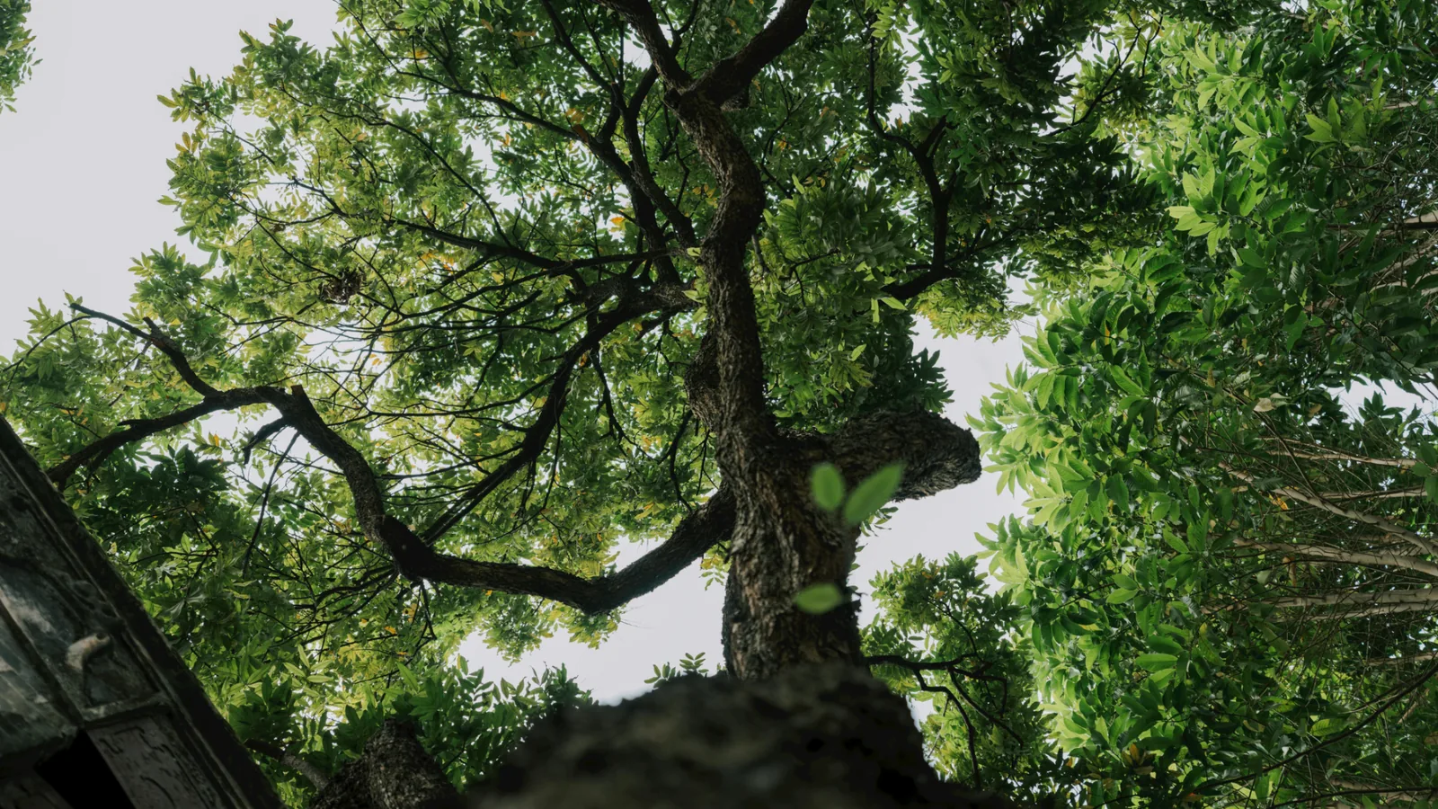 A mountain road among snow-covered peaks