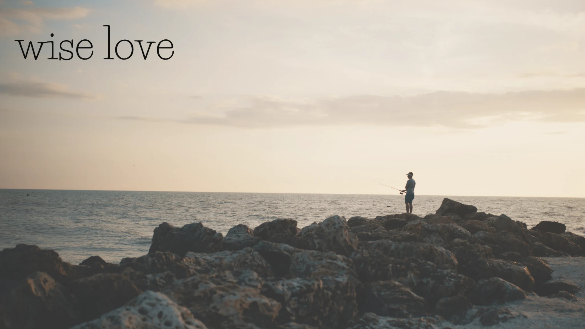 Wise Love